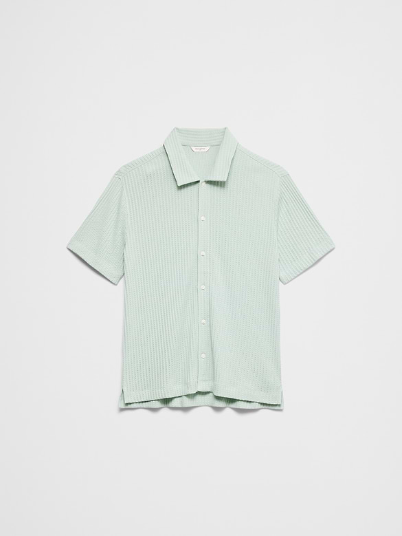 Standard-Fit Pointelle Button-Down Polo