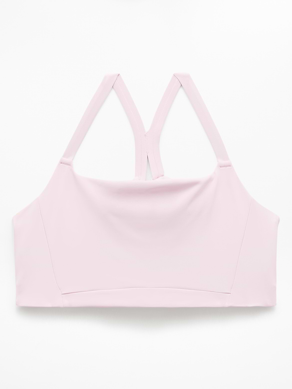 Invigorate Sports Bra D-DD