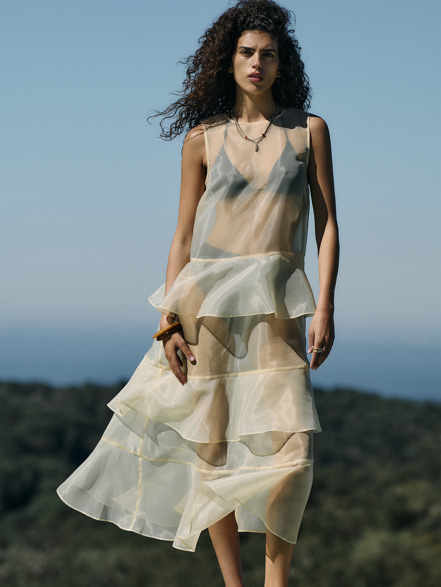 L'image numéro 8 présente Robe longue étagée en organza