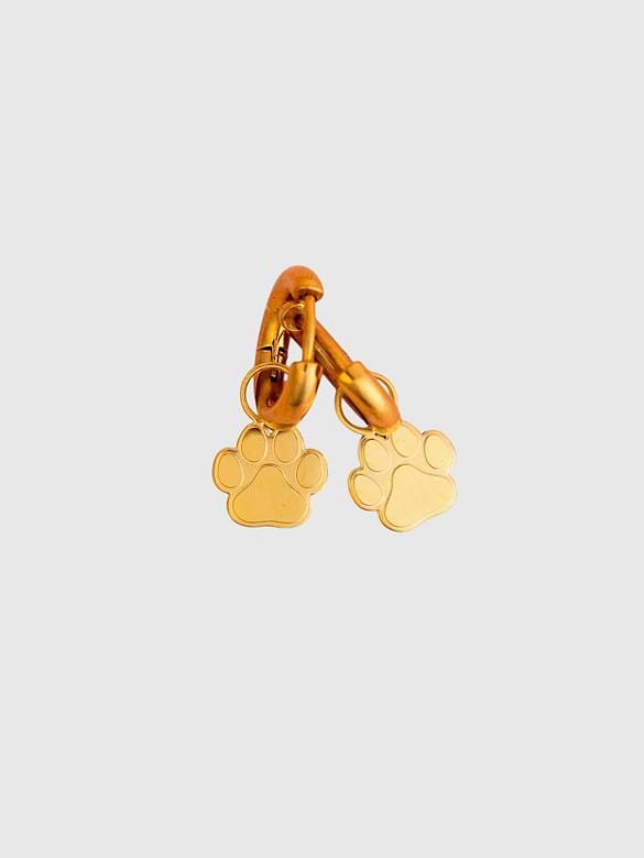Pierced Co Paw Print Charms for Huggie Earrings
