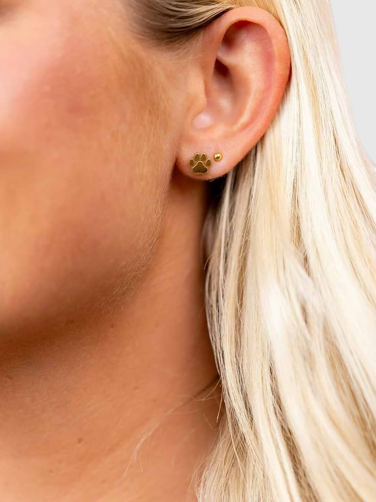 Image number 3 showing, Pierced Co Paw Print Screwback Earrings