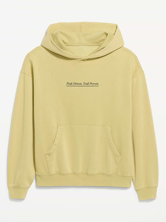 Lived-In Pro Hoodie