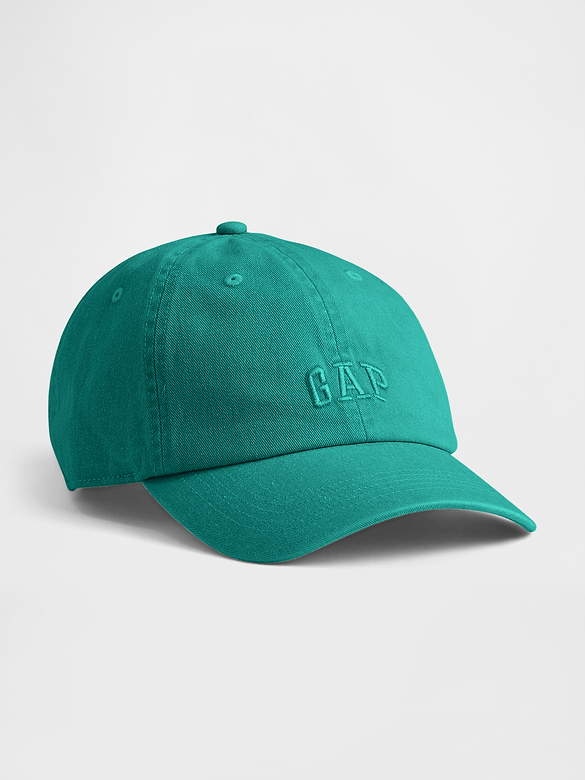 Washed Logo Baseball Hat