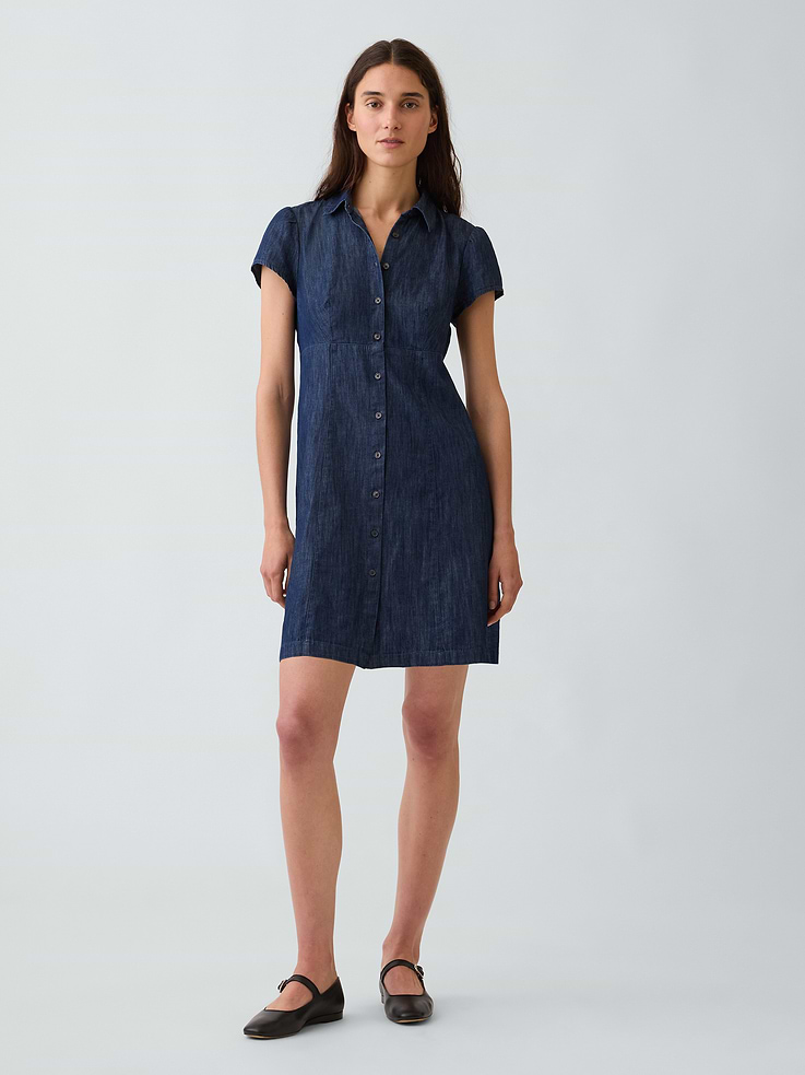 Image number 1 showing, Empire-Waist Mini Shirtdress