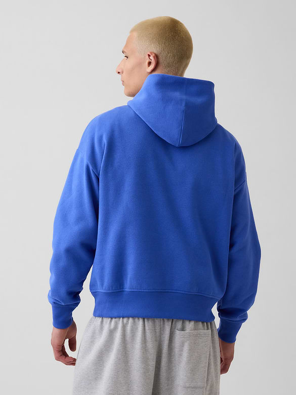 Adult VintageSoft NAP Logo Hoodie
