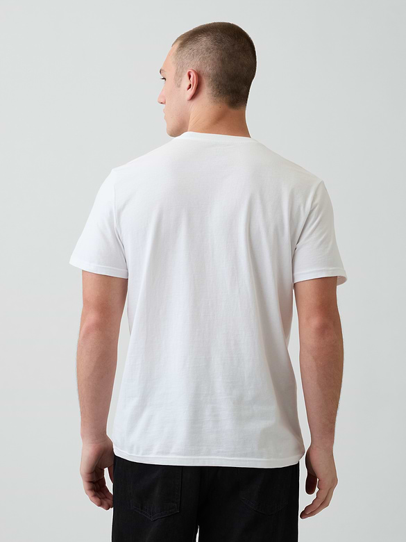 Adult Organic Cotton Pocket T-Shirt