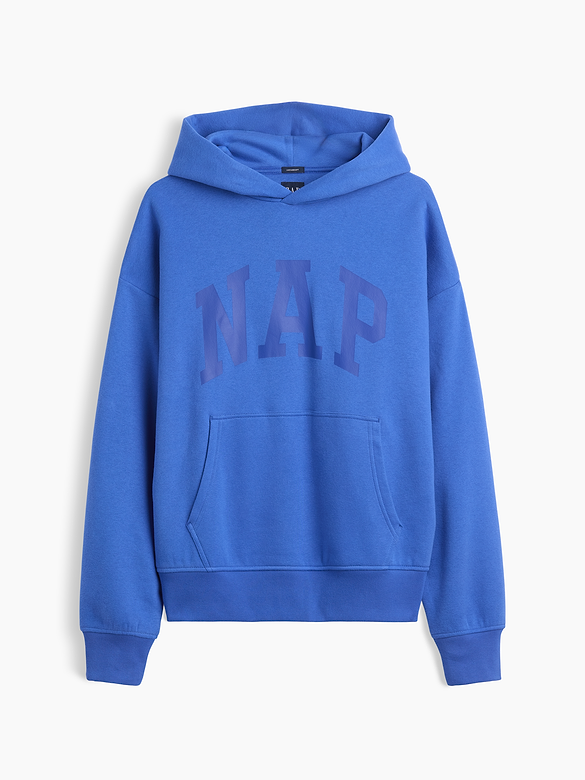 Adult VintageSoft NAP Logo Hoodie