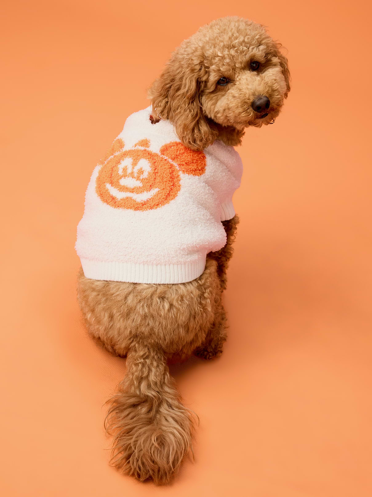 Image number 1 showing, Old Navy x Disney Mickey Mouse Cozy Sweater for Pets