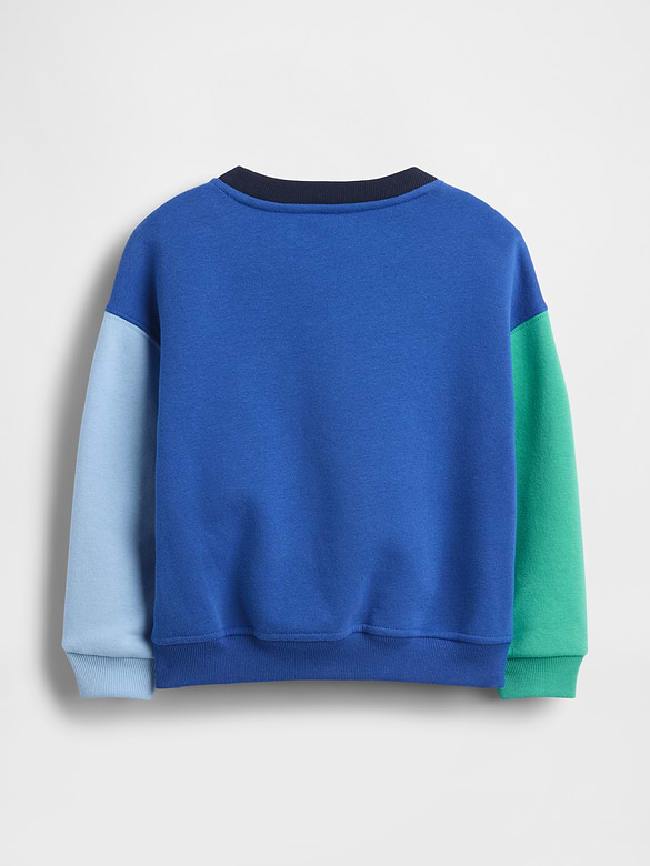 Baby & Toddler VintageSoft Colorblock Sweatshirt