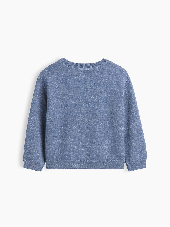 Baby & Toddler Crewneck Sweater
