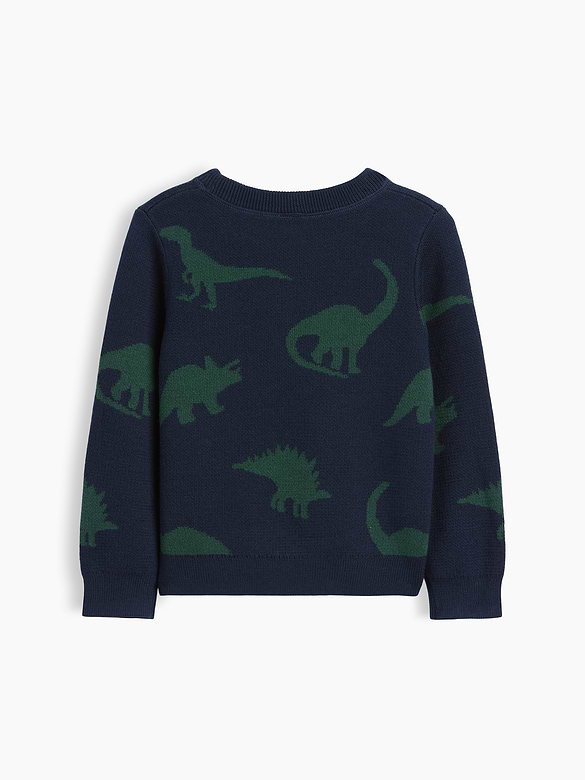 Baby & Toddler Crewneck Sweater