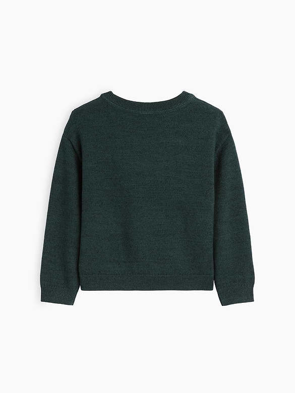 Baby & Toddler Crewneck Sweater