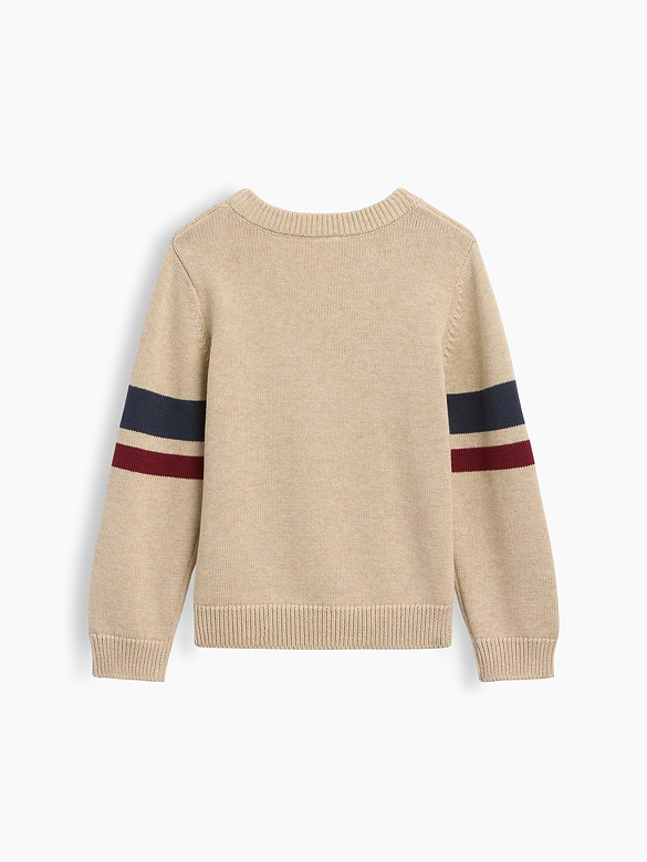 Baby & Toddler Crewneck Sweater