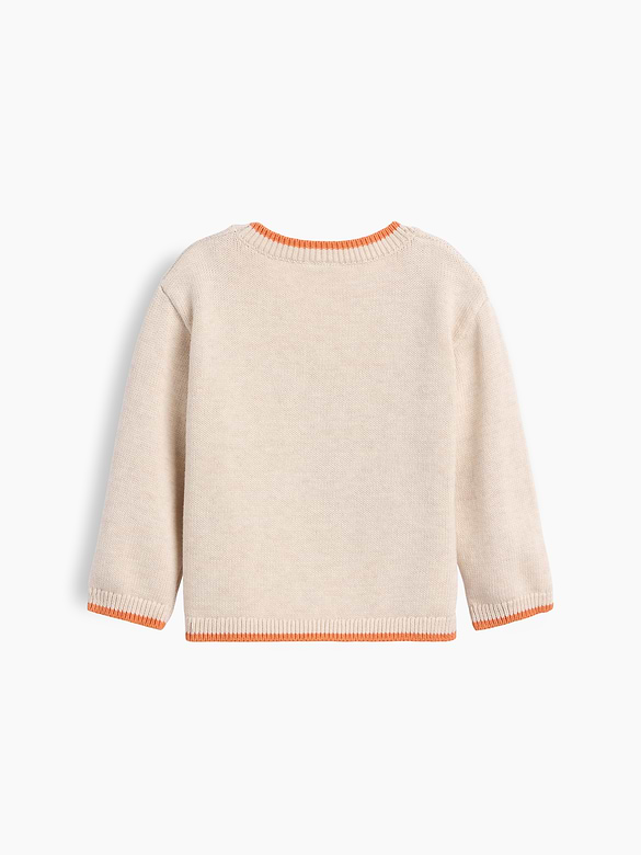 Baby Brannan Bear Pumpkin Sweater