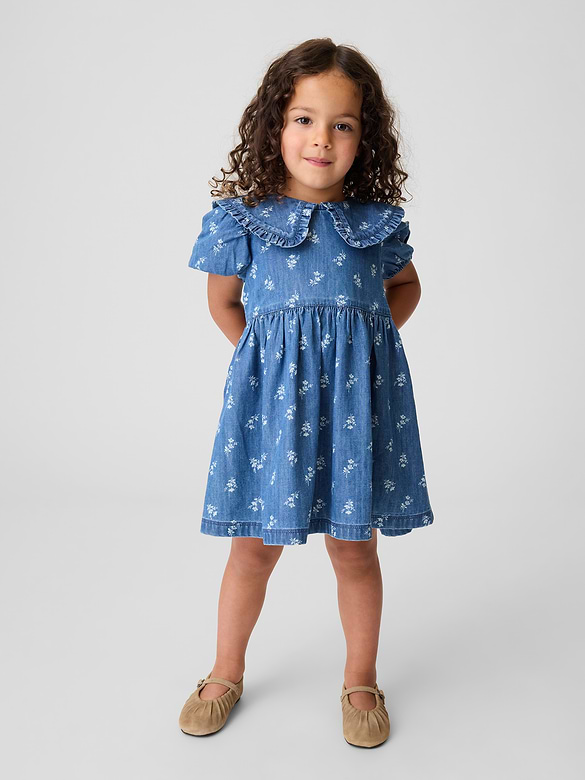 Baby & Toddler Denim Collared Floral Dress
