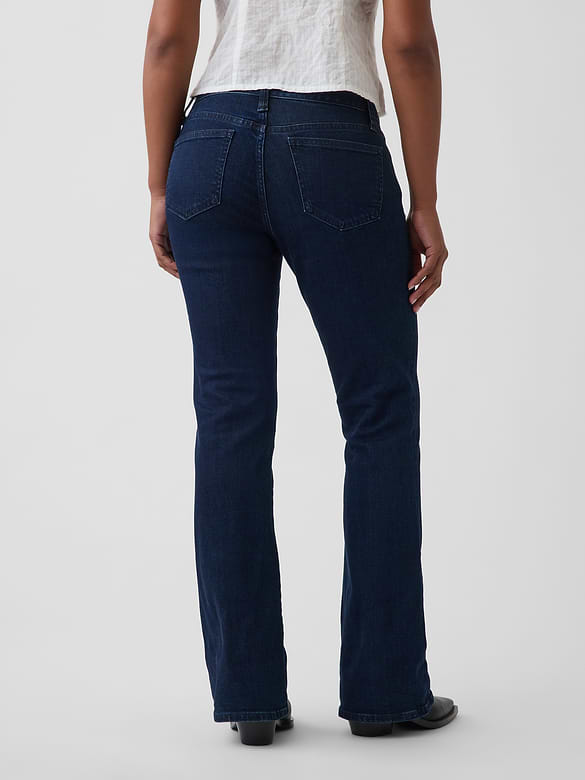 Curvy Low Rise Long & Lean Jeans
