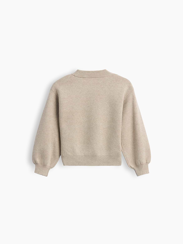 Baby & Toddler Crew Sweater