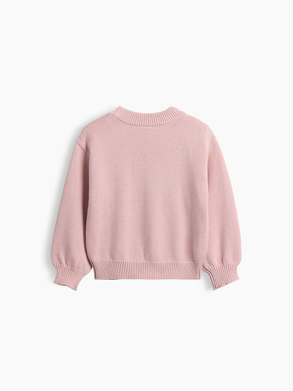 Baby & Toddler Crew Sweater