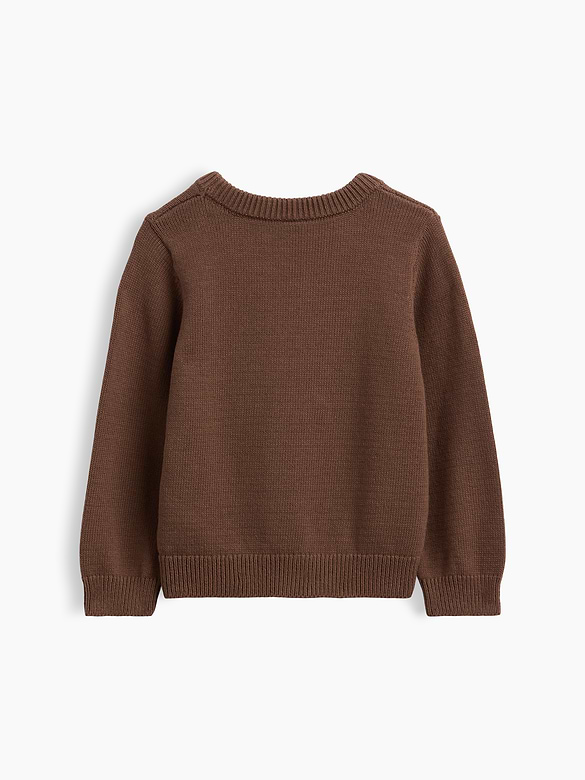 Baby & Toddler Crewneck Sweater