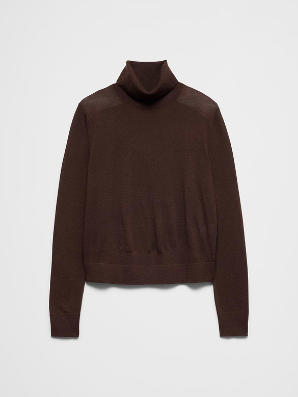 Merino Wool Turtle-Neck Sweater