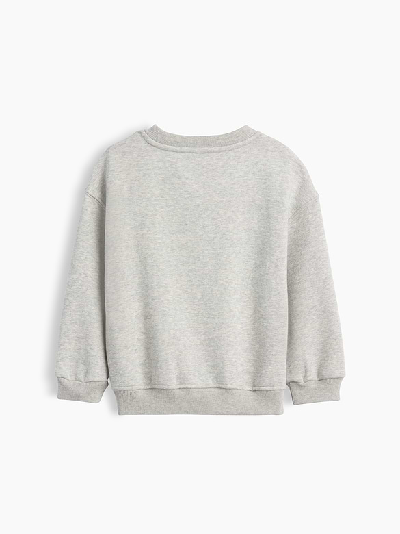 Baby & Toddler VintageSoft Graphic Sweatshirt