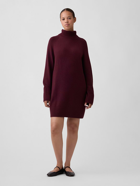 CashSoft Relaxed Turtleneck Mini Dress