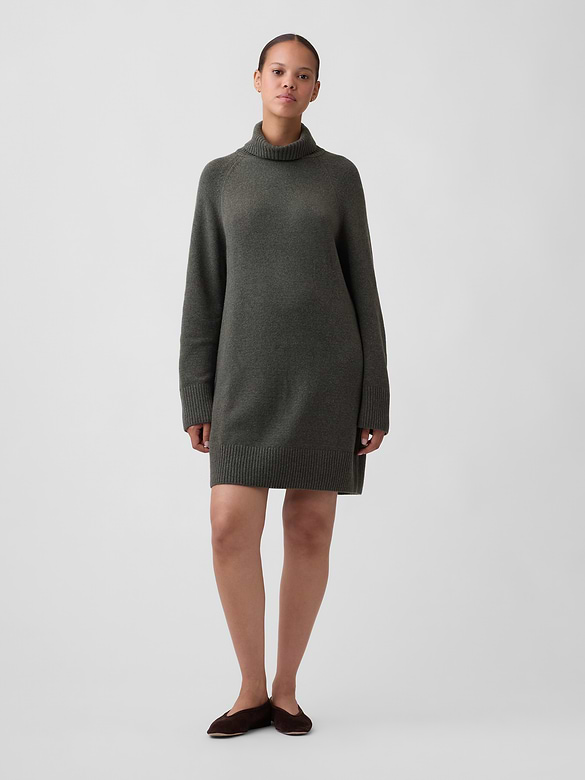 CashSoft Relaxed Turtleneck Mini Dress