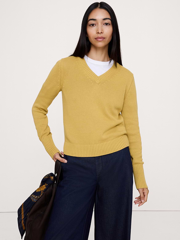 Larkspur Cotton-Silk V-Neck Sweater