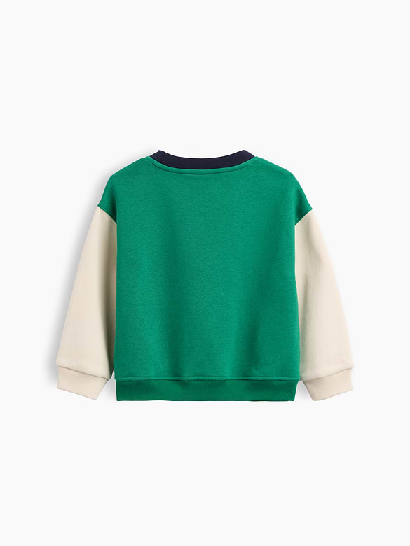 Baby & Toddler VintageSoft Colorblock Sweatshirt