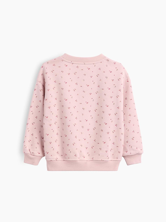 Baby & Toddler VintageSoft Print Sweatshirt