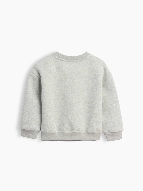 Baby & Toddler VintageSoft Sweatshirt