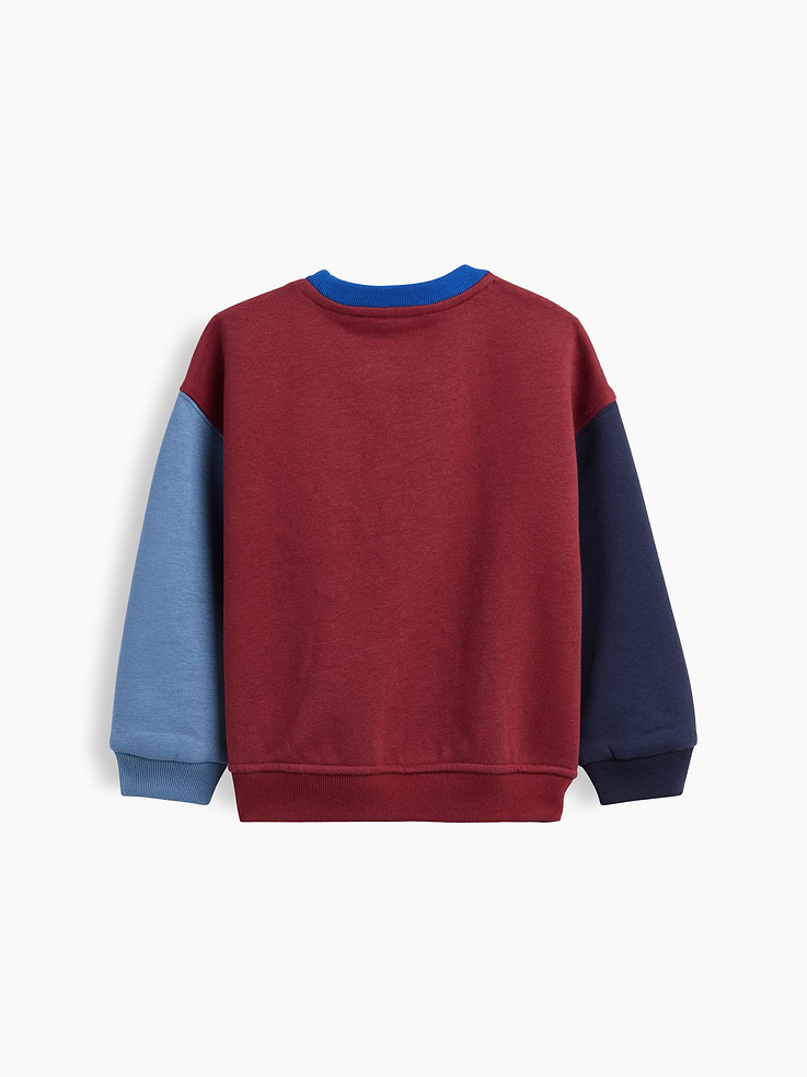 Image number 3 showing, Baby & Toddler VintageSoft Colorblock Sweatshirt