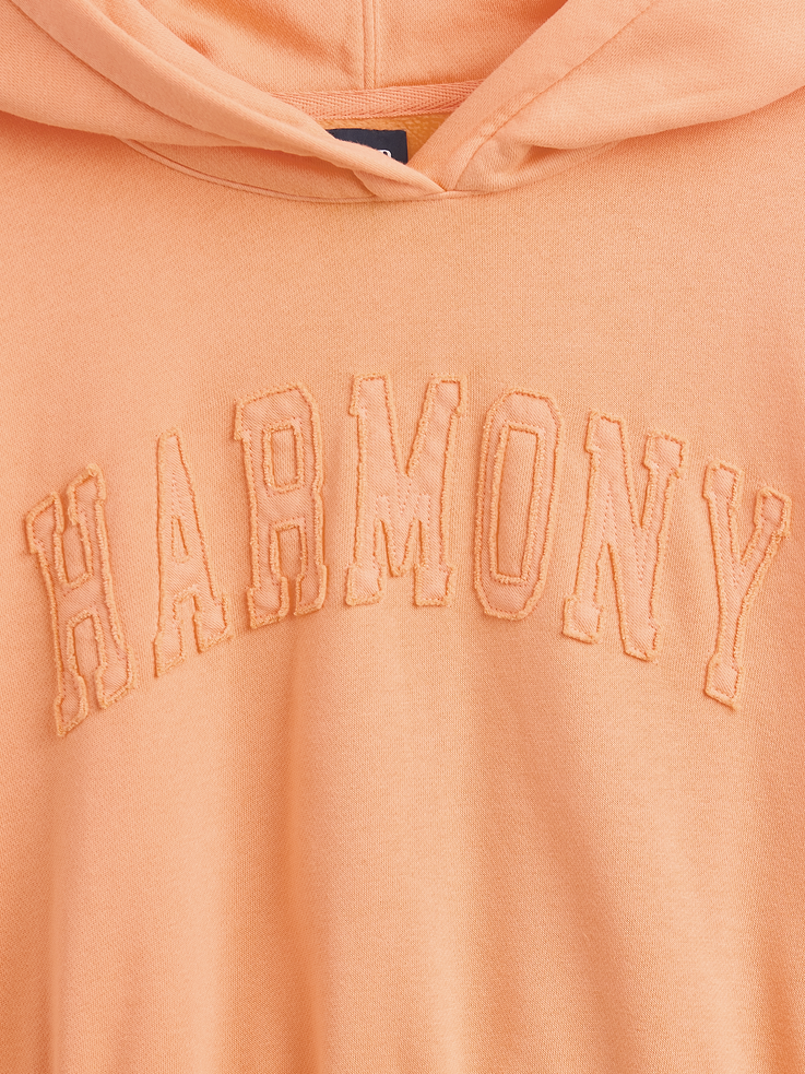 Image number 4 showing, VintageSoft Logo Crop Hoodie