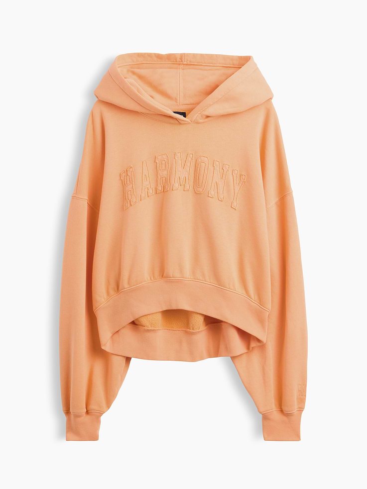 Image number 5 showing, VintageSoft Logo Crop Hoodie