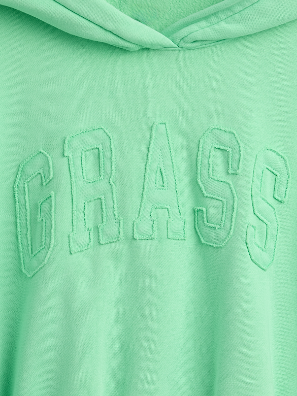 VintageSoft Logo Crop Hoodie