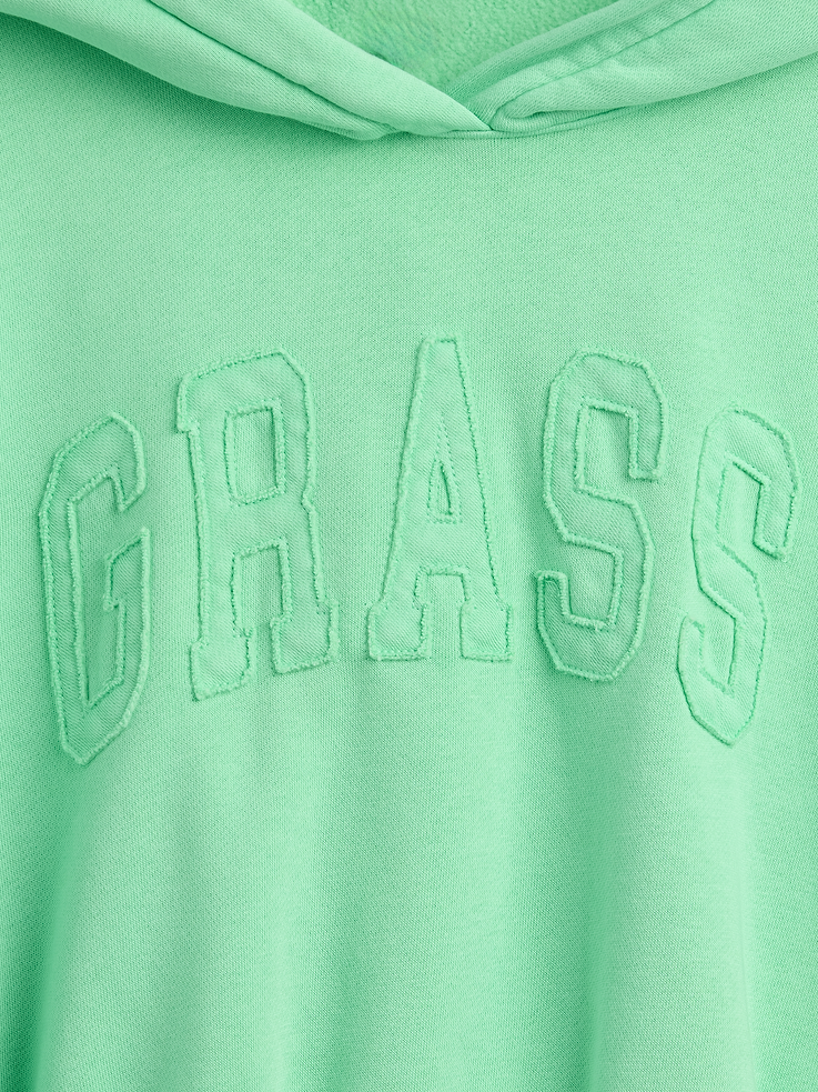 Image number 4 showing, VintageSoft Logo Crop Hoodie
