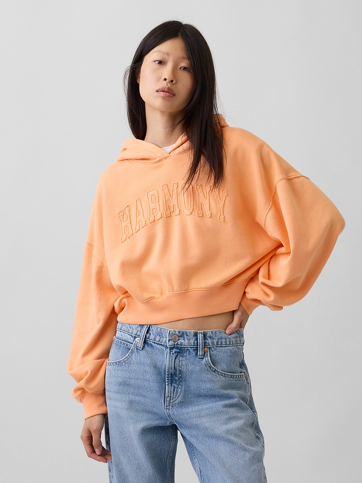Image number 1 showing, VintageSoft Logo Crop Hoodie