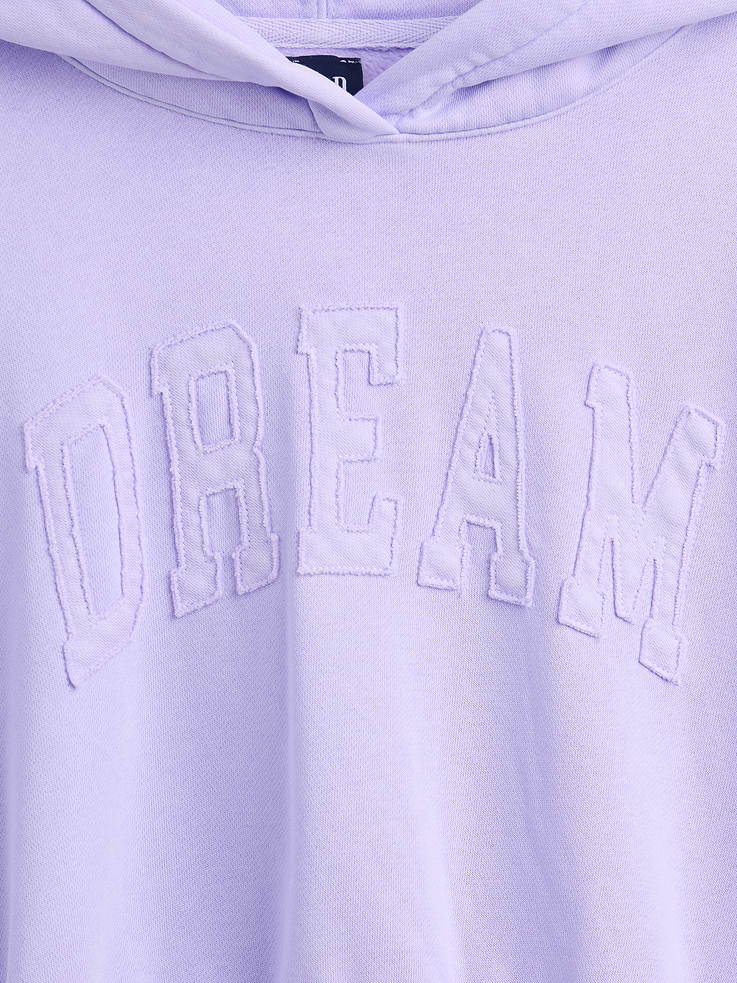 Image number 4 showing, VintageSoft Logo Crop Hoodie