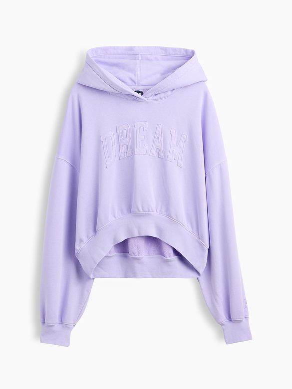 VintageSoft Logo Crop Hoodie