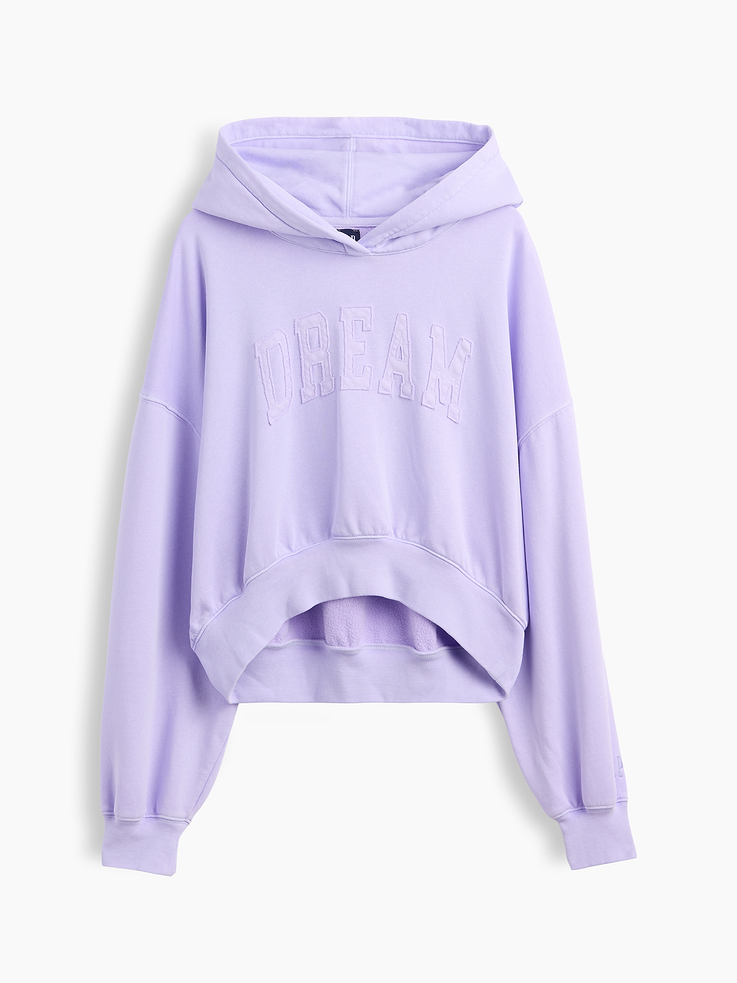 Image number 5 showing, VintageSoft Logo Crop Hoodie