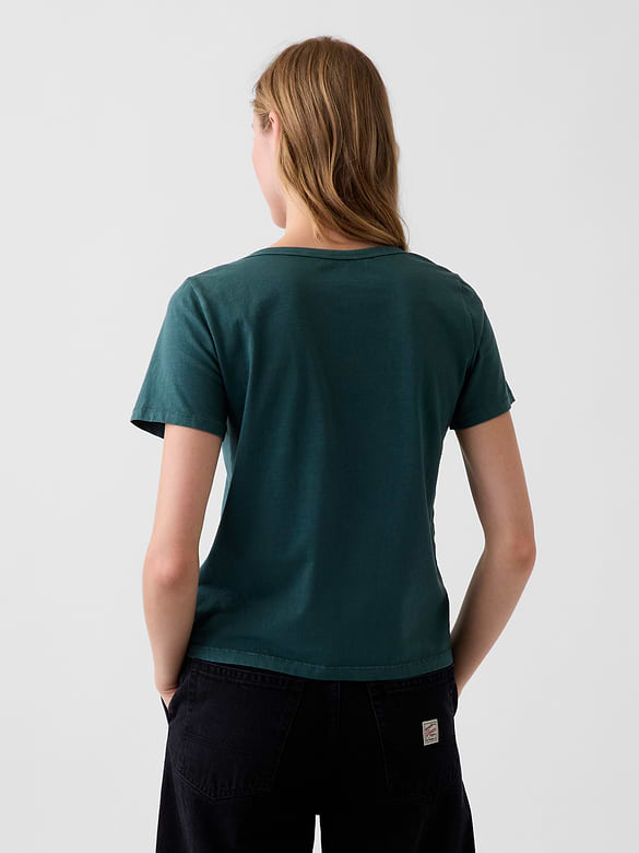 Organic Cotton VintageSoft V-Neck T-Shirt