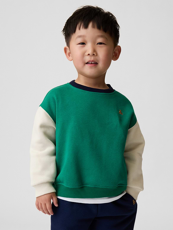 Baby & Toddler VintageSoft Colorblock Sweatshirt