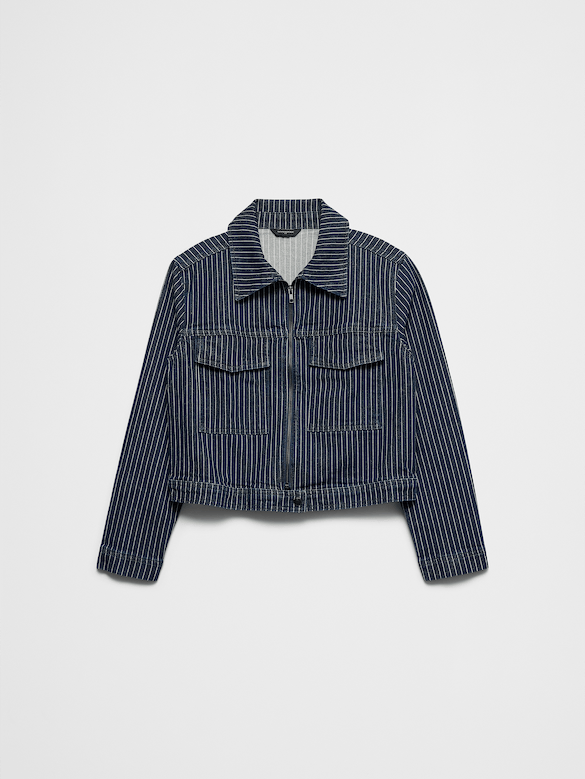 Denim Pinstriped Cropped Jacket