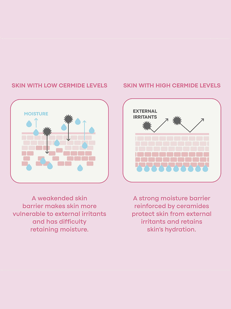 Image number 3 showing, Tony Moly Mochi Milky Toner Set
