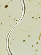 Image number 2 showing, Patchology Moodpatch Eye Gels Perk Up