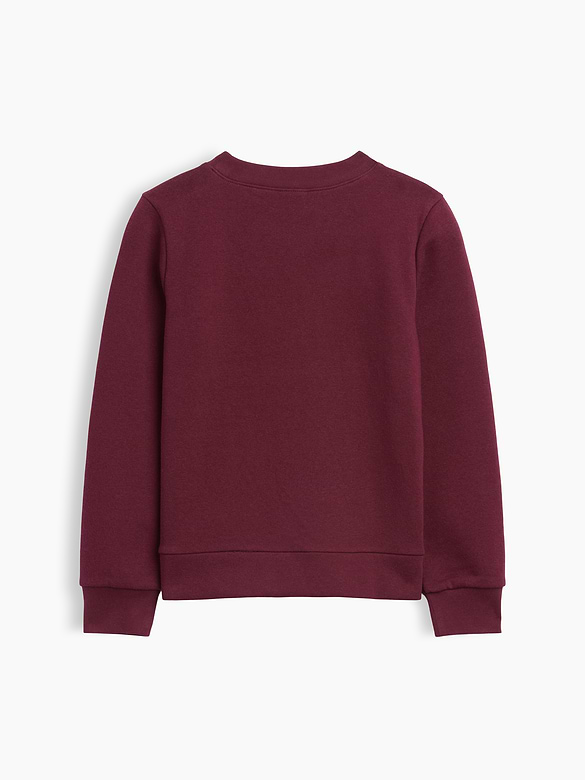Kids Graphic Sweatshirt