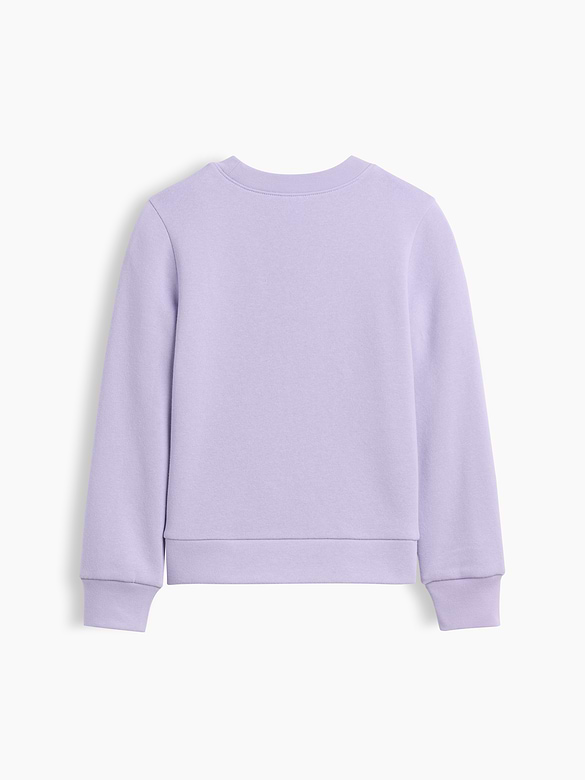 Kids Crewneck Graphic Sweatshirt