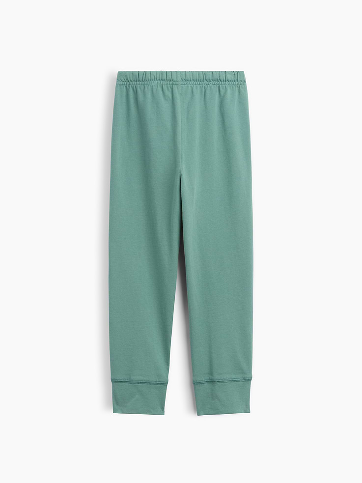 Image number 3 showing, babyGap Pull-On Brannan Bear Joggers