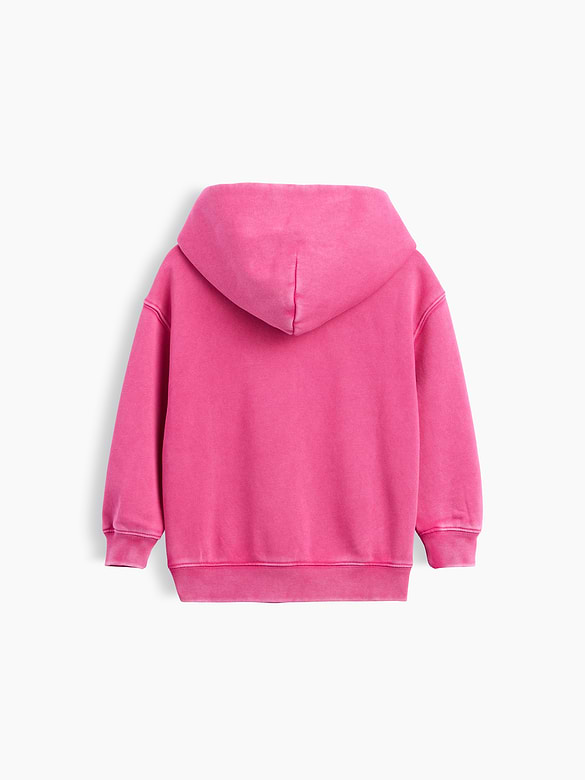 Baby & Toddler VintageSoft Logo Hoodie