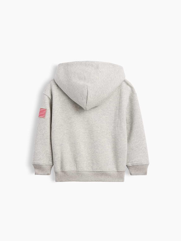 Baby & Toddler VintageSoft Logo Hoodie